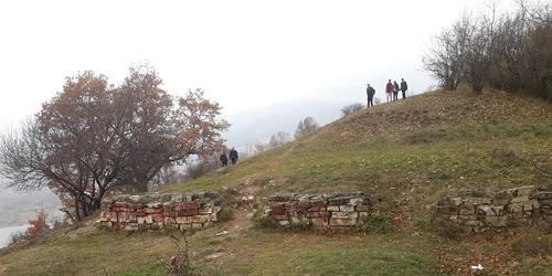 petrodavacetate1 dansofronia jpg