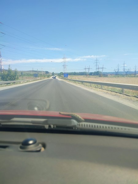 Surpriză de coșmar pentru o șoferiță. „Nu știu dacă mai e în mașină, se refugiase sub capotă”