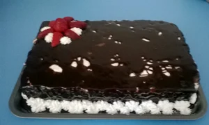 CLIIMA20140505 0122 1 jpeg