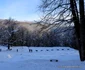 sarmizegetusa regia foto adevarul daniel guta