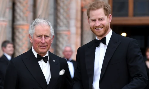 Regele Charles și Prințul Harry foto profimedia 0596059430 jpg