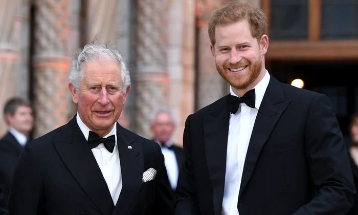 Regele Charles și Prințul Harry foto profimedia 0596059430 jpg