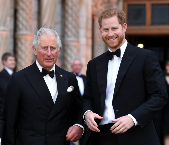 Regele Charles și Prințul Harry  foto   profimedia 0596059430 jpg