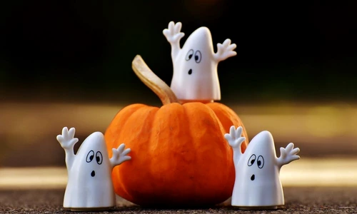 1 71759 original jpg jpeg