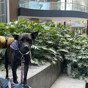 Screenshot 2026 03 15 125122 jpg