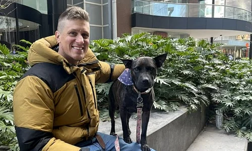 Screenshot 2026 03 15 125122 jpg