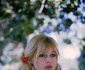 Brigitte Bardotpe platourile de filmari, foto Pinterest jpg