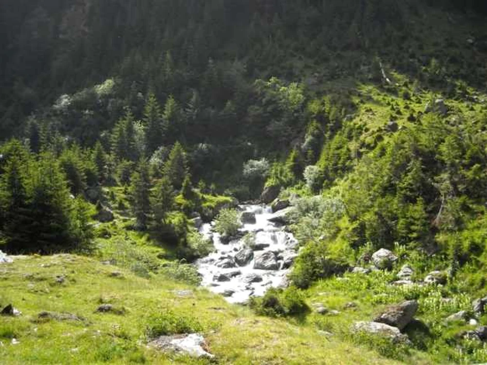 valea ierii