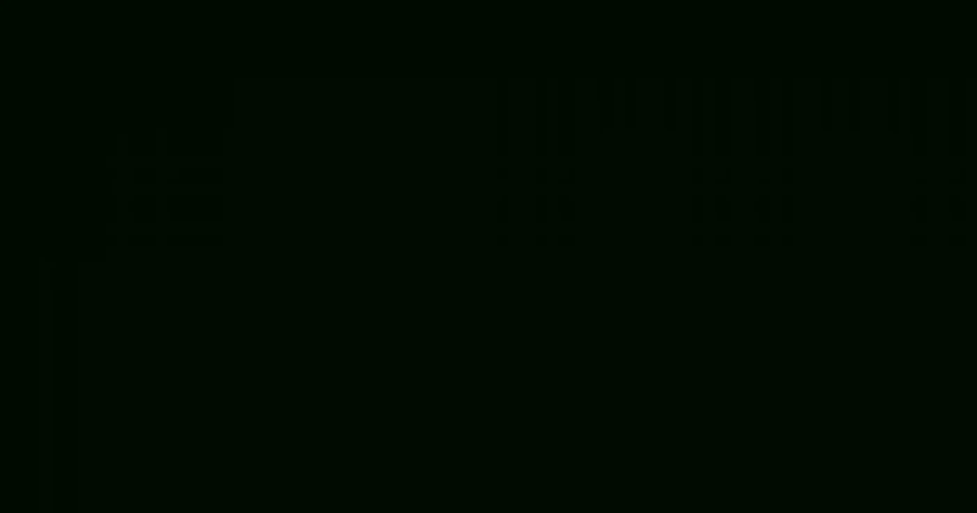 Captură YouTube