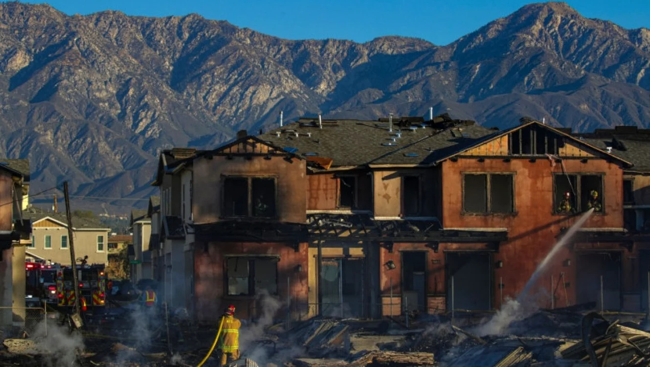 Încercarea de a scăpa de şerpi s-a transformat într-o tragedie pentru o familie din Maryland, SUA. FOTO: Profimedia