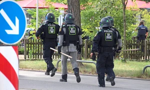 Rogenberg atacator jpg
