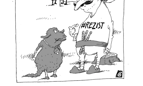 De ce Mioriţa? jpeg