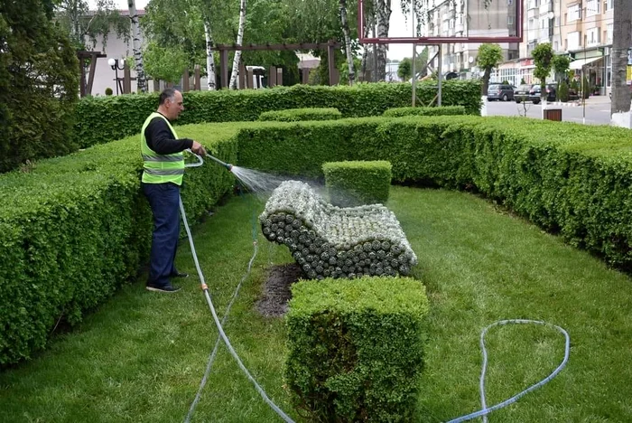 Băncile din flori ale Darabaniului FOTO Primăria Darabani