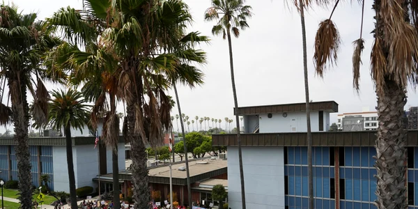 Proteste razii imigranți California FOTO Profimedia jpg