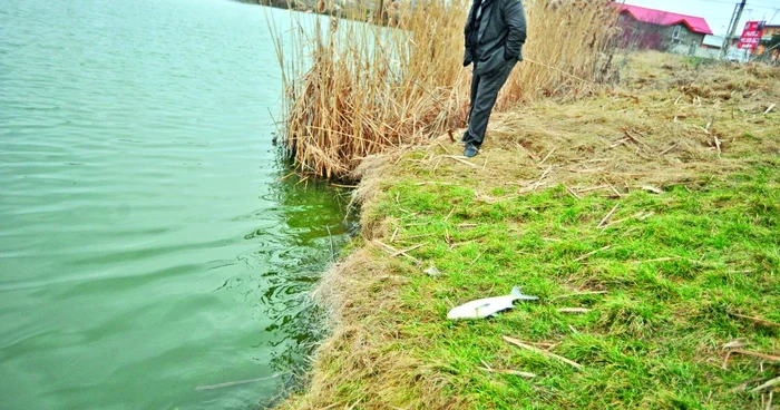 Lacurile din Chişinău vor fi curăţate FOTO Simbol Adevărul