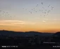Imagine realizată cu Xiaomi Redmi Note 14 Pro 5G - păsări pe cer la apus Foto Daciana Stoica pentru Adevărul