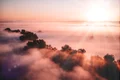dawn 8361032 1280 jpg