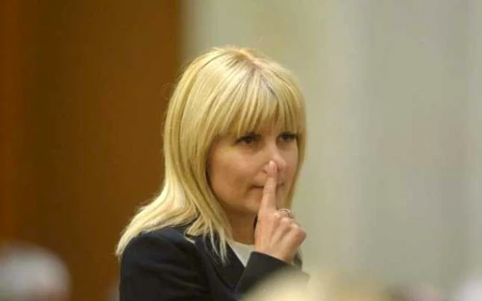 Elena Udrea a fost criticată pentru acest gest