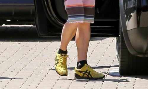 *EXCLUSIVE* Brian Austin Green shows off his new Tesla Model X! jpeg