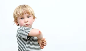 shutterstock 1783516799 jpg