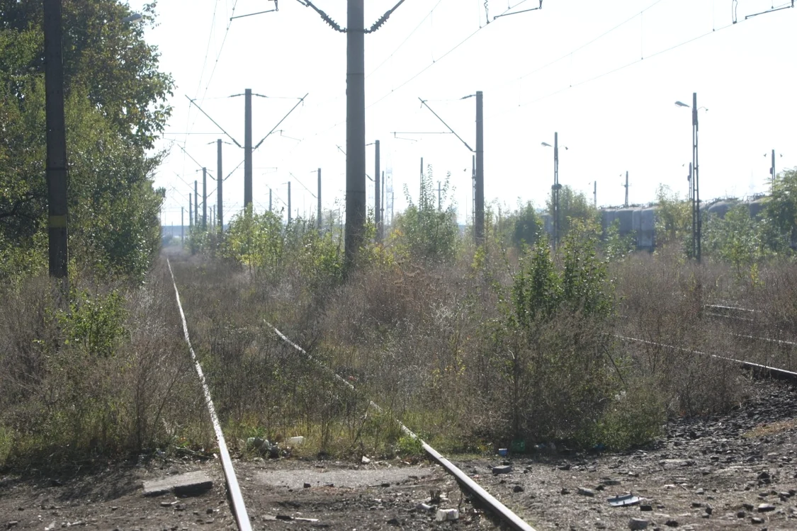 Calea ferată de pe centura feroviară a Capitalei este în paragină Foto: Sever Gheorghe