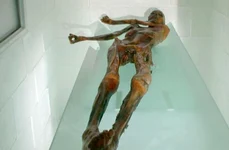13 lucruri pe care nu le ştiaţi despre Ötzi, Omul Gheţurilor jpeg