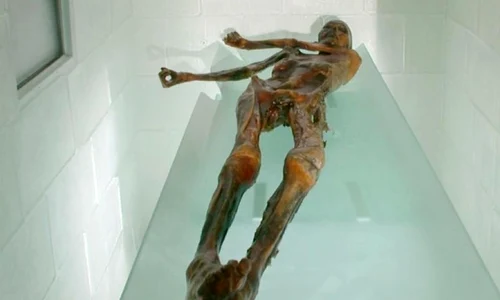 13 lucruri pe care nu le ştiaţi despre Ötzi, Omul Gheţurilor jpeg