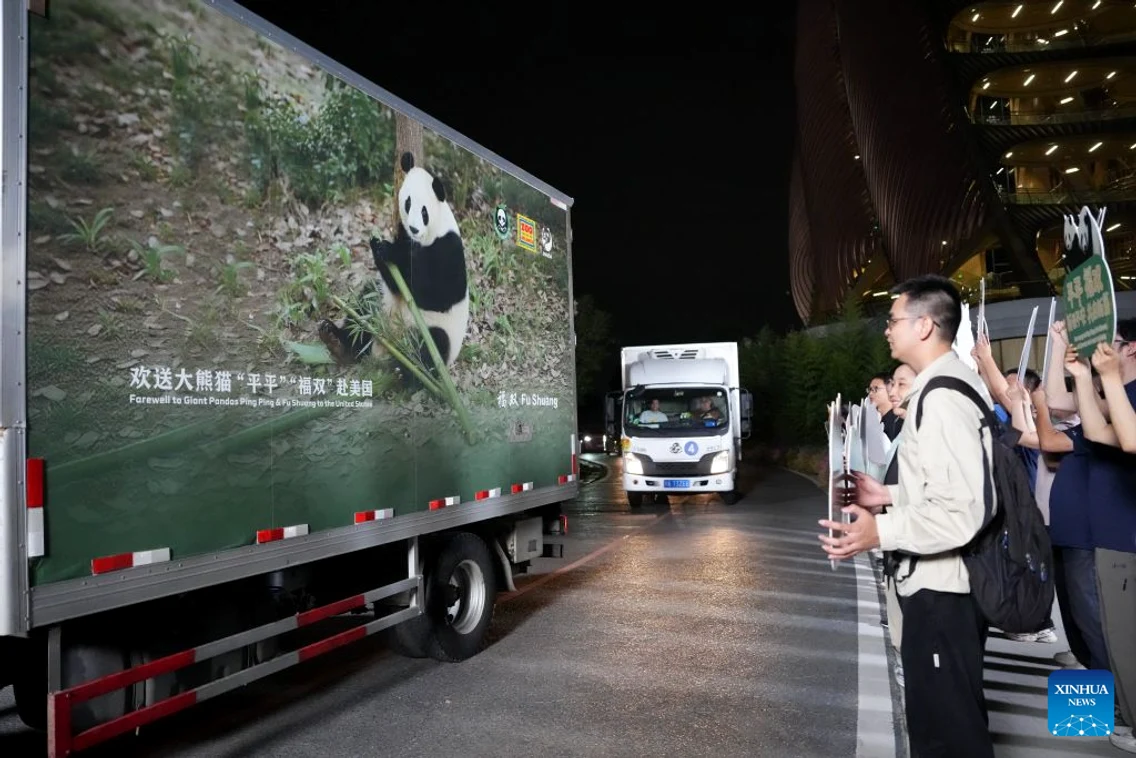 panda 01 foto XINHUA jpg