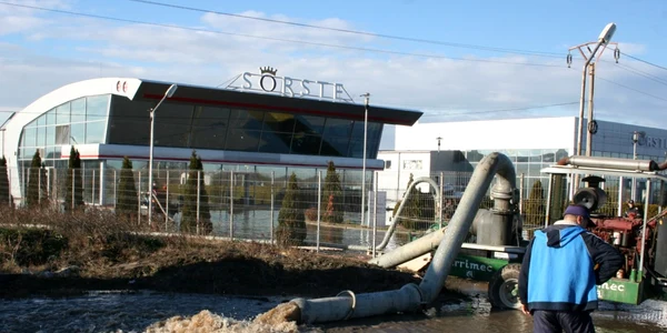 sorste
