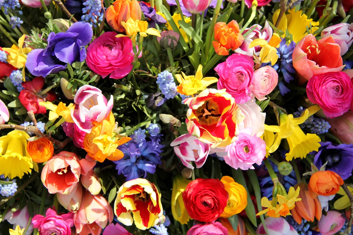 Florile pot rezista mai mult cu ajutorul oțetului și al zahărului / foto: Shutterstock