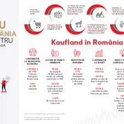 studiu jpg