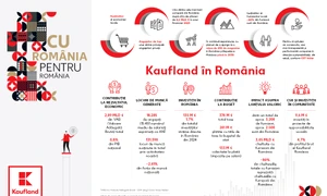 studiu jpg