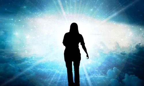 orgoliu 1024x576 jpeg