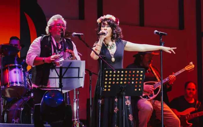 Concertul are loc la Sala Mare a Consiliului Judeţean Sursa Beraria H