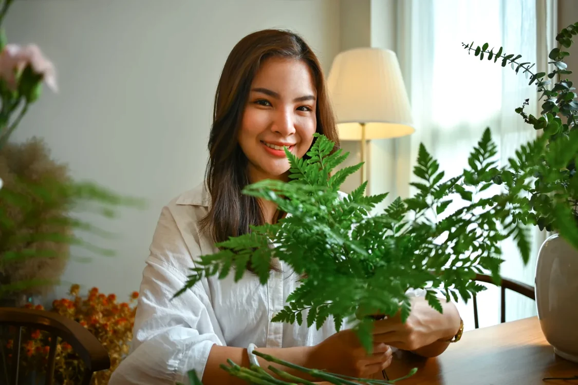 Plante de apartament.