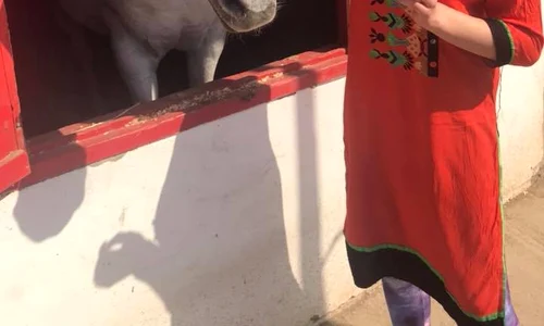 Teresa fiica Roxanei Iliescu (2) jpeg