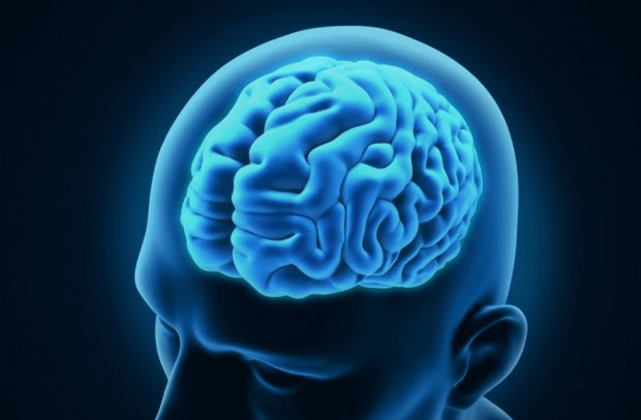 Neuralink promite că în şase luni va putea realiza implanturi conectate în creierul uman