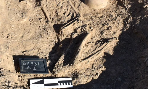 Mormântul descoperit de arheologii polonezi în deșertul Bayuda din nord-estul Sudanului (© Ewa Lesner)