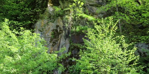 monumentul printului rudolf din retezat