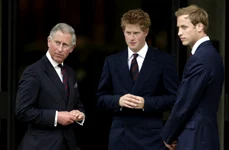 Regele Charles, prințul Harry foto Profimedia jpg
