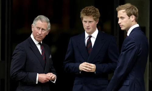 Regele Charles, prințul Harry  foto   Profimedia jpg