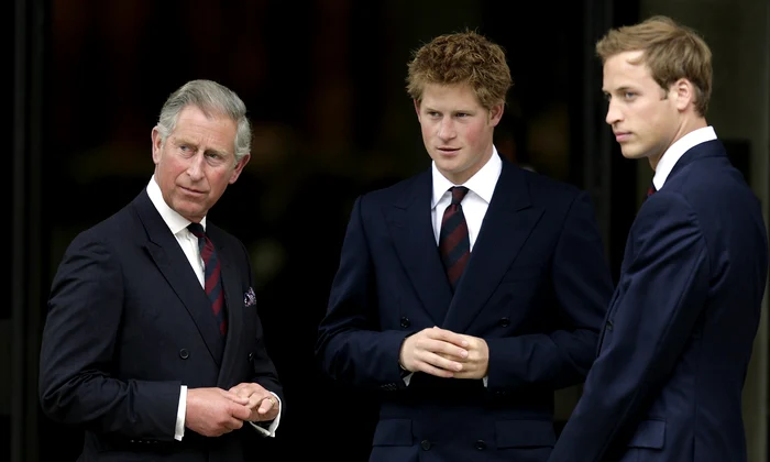 Regele Charles, prințul Harry  foto   Profimedia jpg