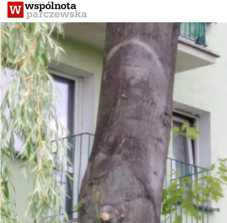 Apariție bizară pe scoarța unui copac FOTO Twitter Tomasz Golonko