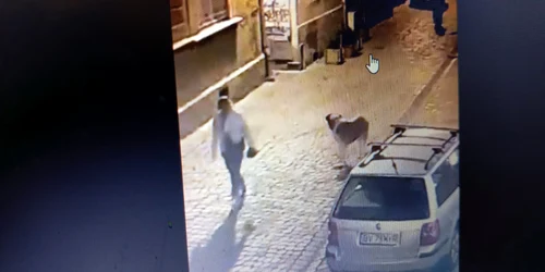 WhatsApp Image 2023 06 13 at 09 17 04 jpeg