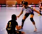 liga campionilor
