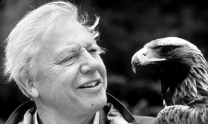Attenborough cel din spatele ecranului jpeg