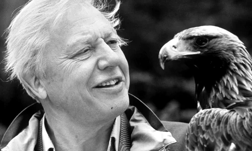 Attenborough cel din spatele ecranului jpeg