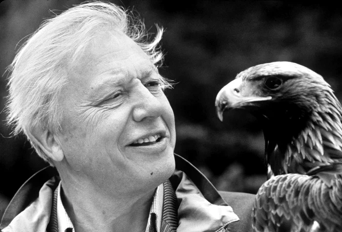 Attenborough cel din spatele ecranului jpeg