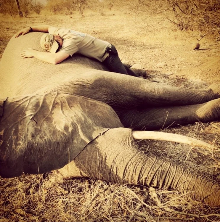 Harry, într-o imagine emoționantă, îmbrățișând un elefant sedat