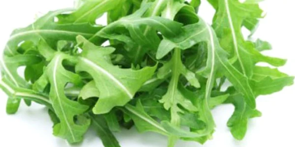 rucola